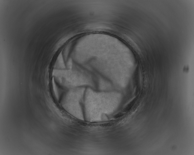 X0000089441031200707131901