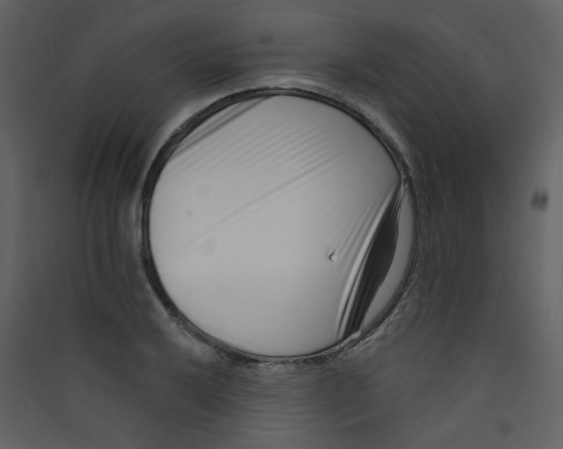 X0000089441032200707131901