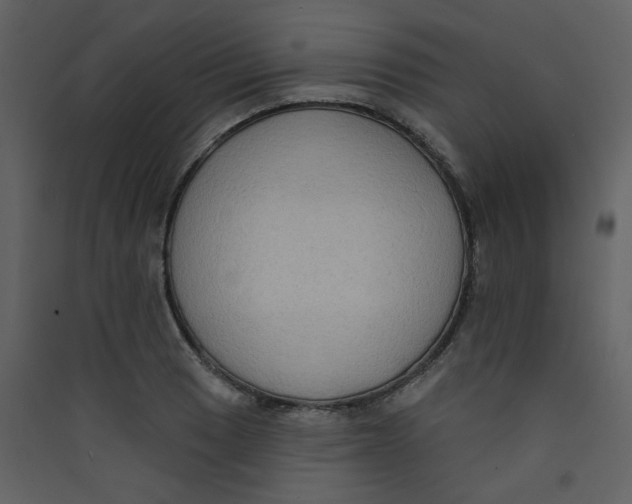 X0000089441033200707131901