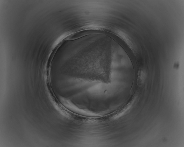 X0000089441034200707131901