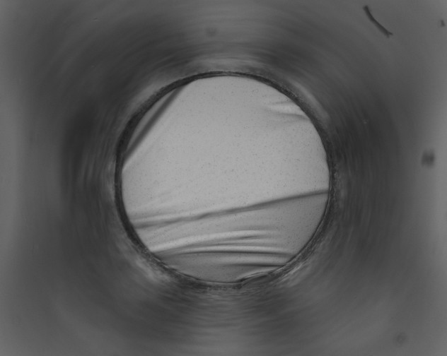 X0000089441035200707131901