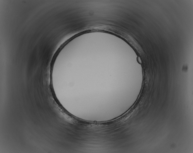 X0000089441036200707131901