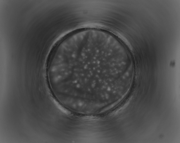 X0000089441037200707131901