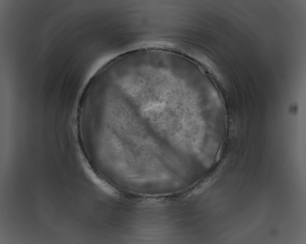 X0000089441038200707131901