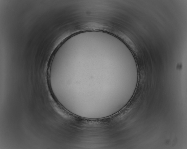 X0000089441039200707131901