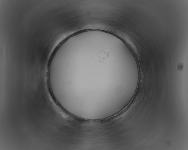 X0000089441040200707131901