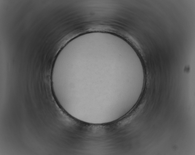 X0000089441041200707131901