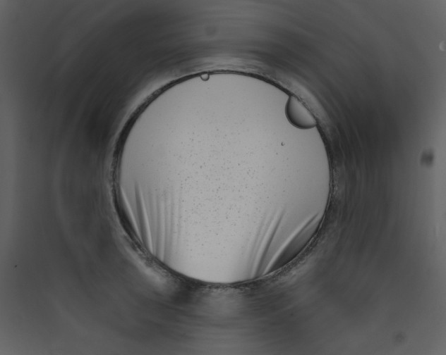 X0000089441043200707131901