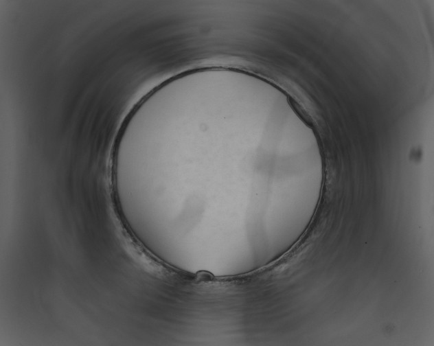 X0000089441044200707131902