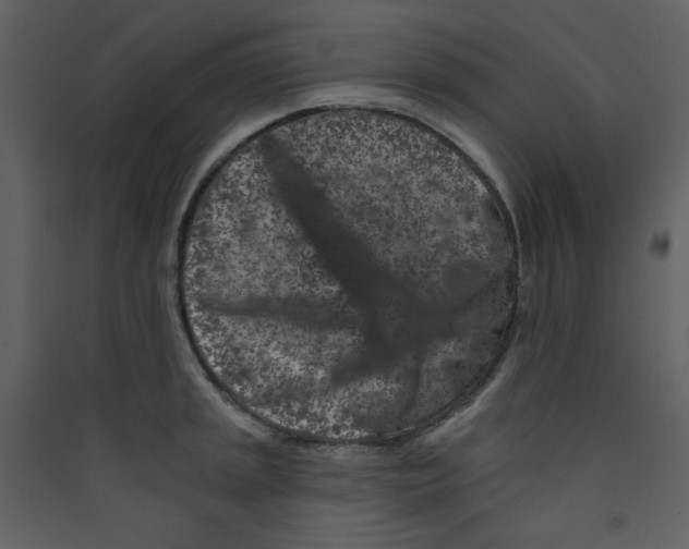 X0000089441045200707131902