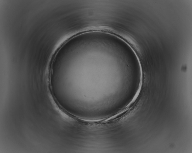 X0000089441046200707131902