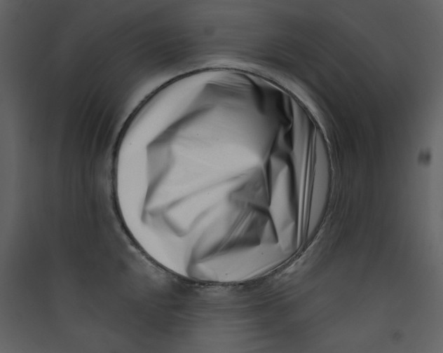 X0000089441048200707131902
