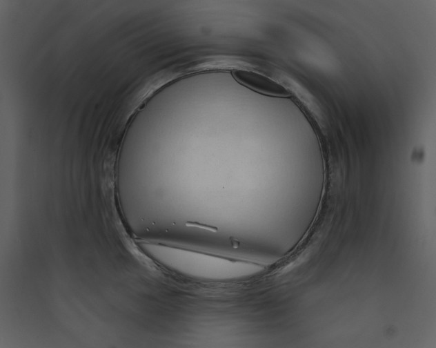 X0000089441049200707131902