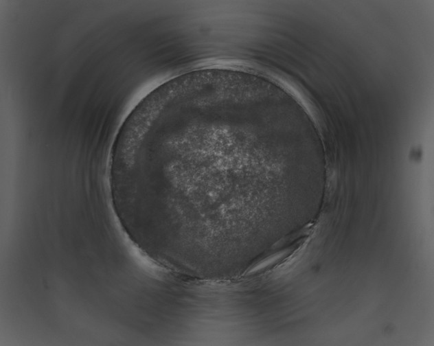 X0000089441050200707131902