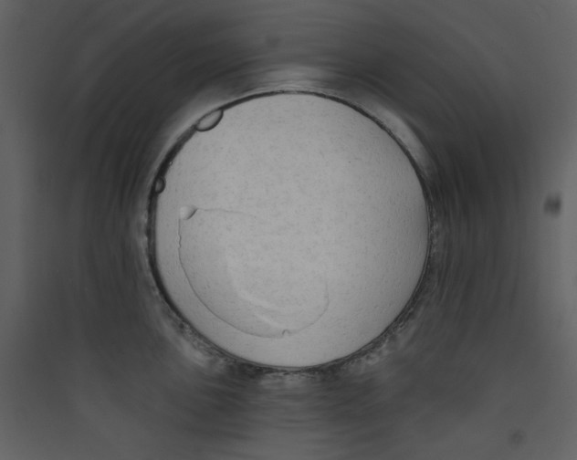 X0000089441051200707131902