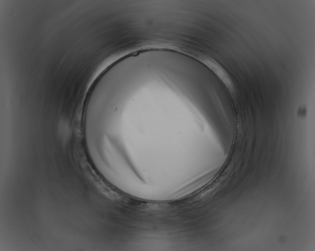 X0000089441052200707131902