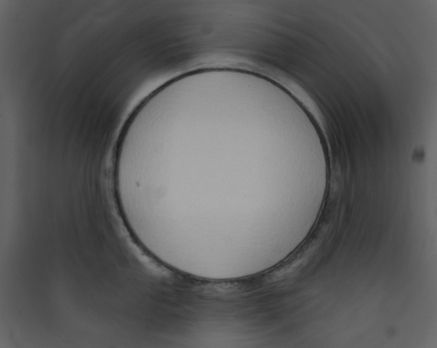 X0000089441053200707131902