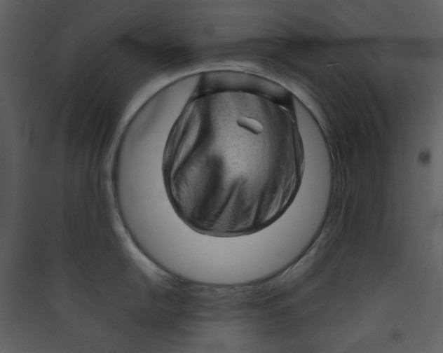 X0000089441054200707131902