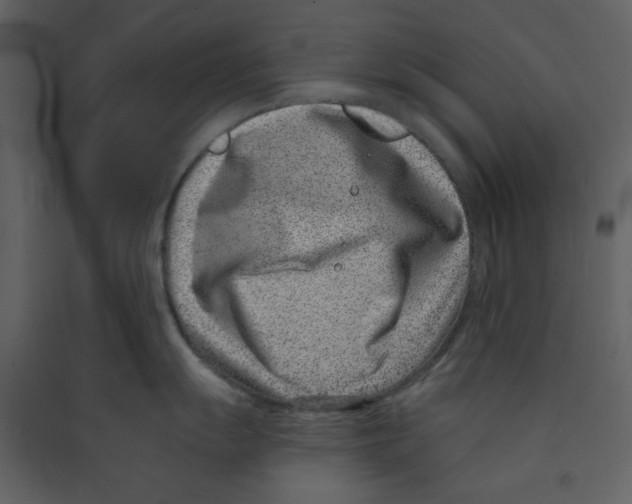 X0000089441055200707131902