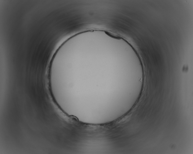 X0000089441056200707131902