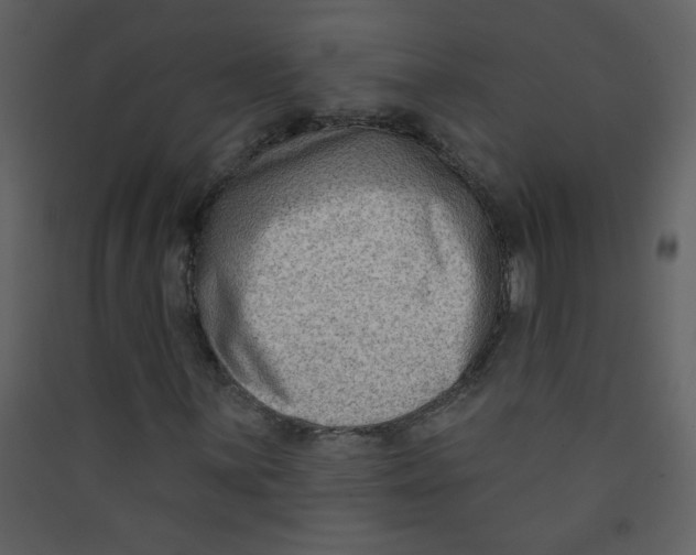 X0000089441059200707131901