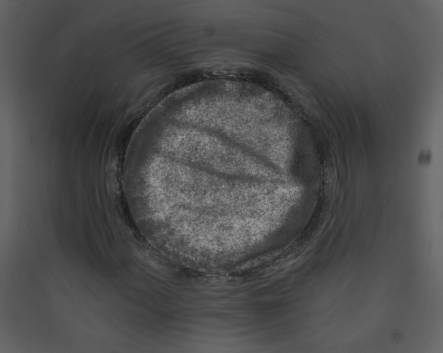 X0000089441060200707131901
