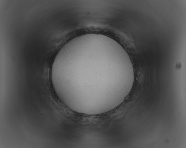X0000089441061200707131901
