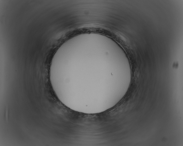 X0000089441062200707131901