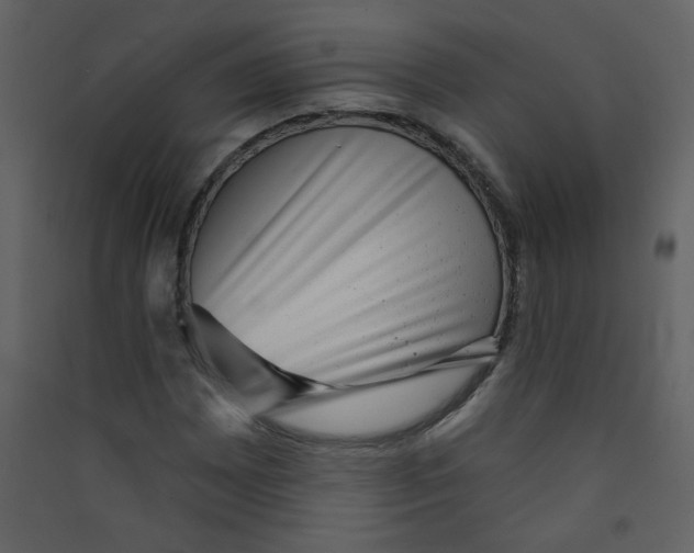 X0000089441065200707131901
