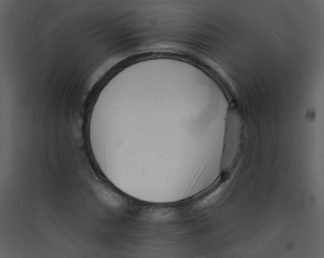 X0000089441066200707131901