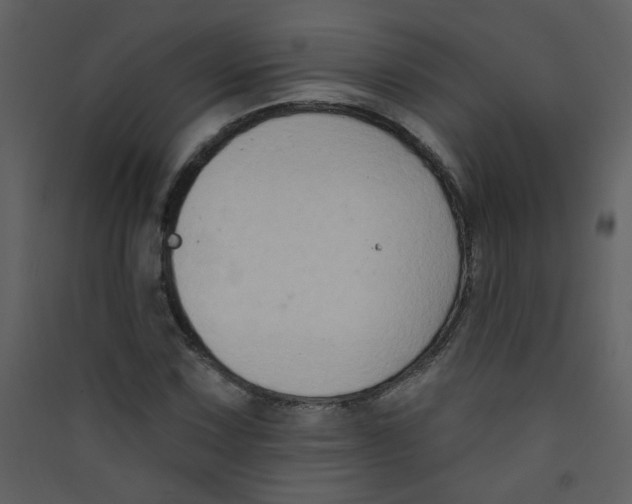 X0000089441067200707131901
