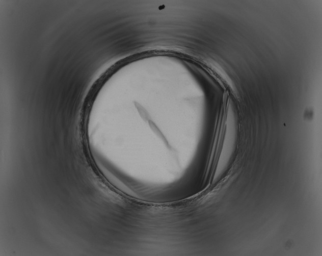 X0000089441068200707131901