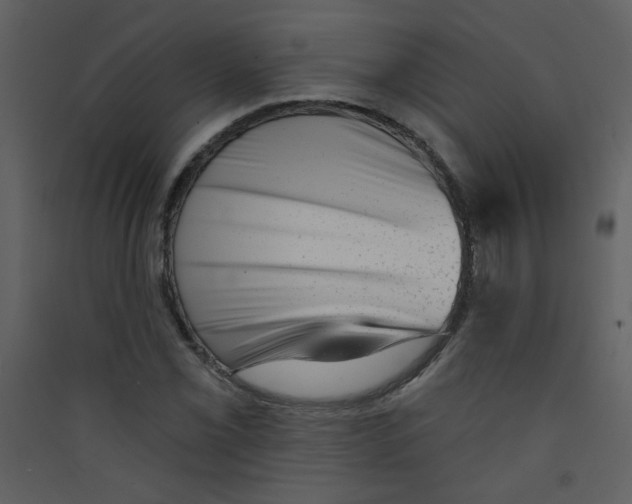 X0000089441069200707131901