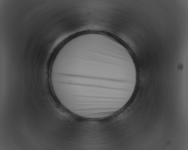 X0000089441070200707131901