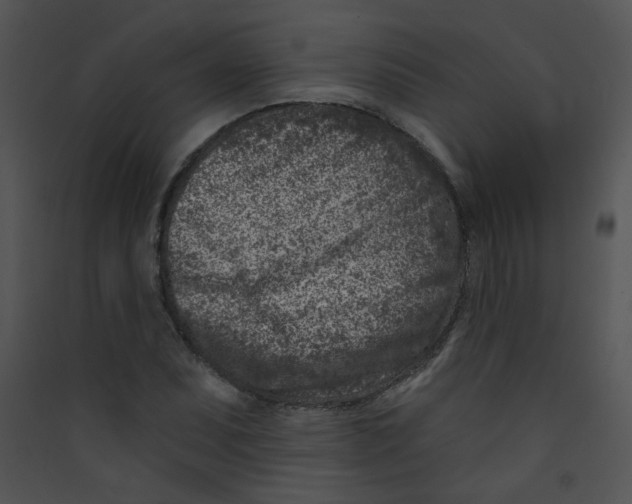 X0000089441071200707131901