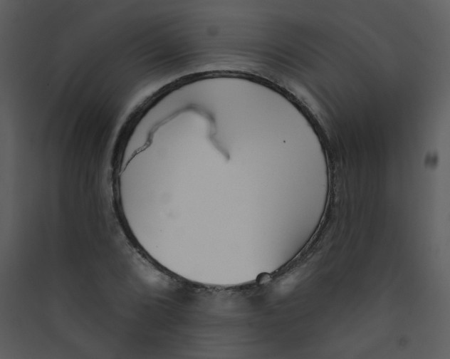 X0000089441072200707131901