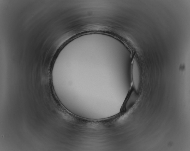 X0000089441073200707131901