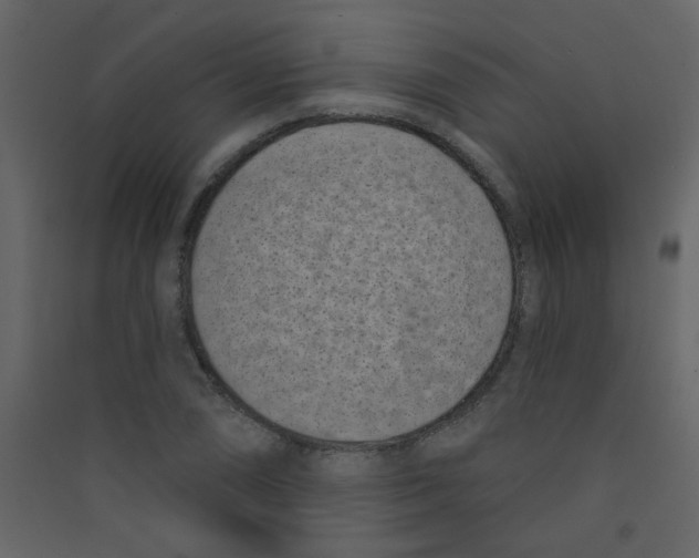 X0000089441074200707131901