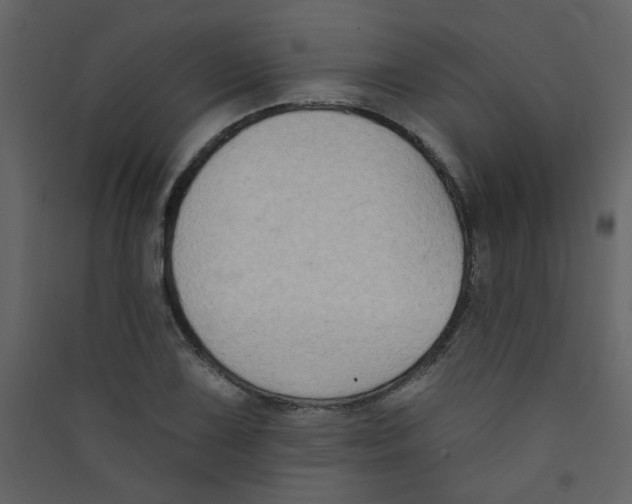X0000089441075200707131901