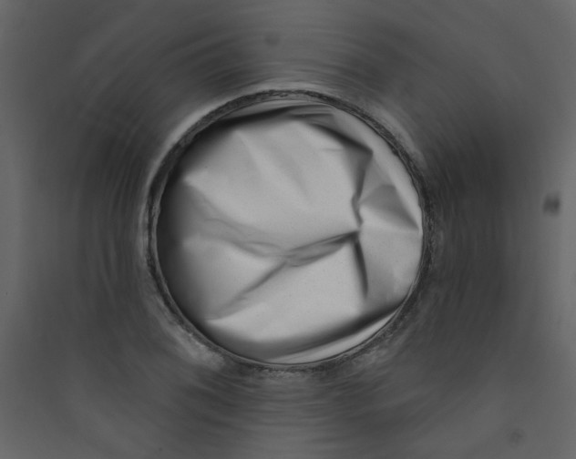 X0000089441076200707131901
