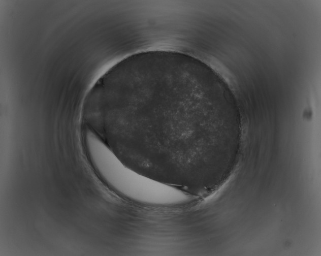 X0000089441077200707131901