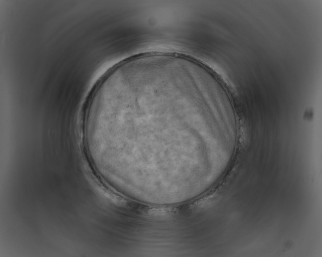 X0000089441078200707131901