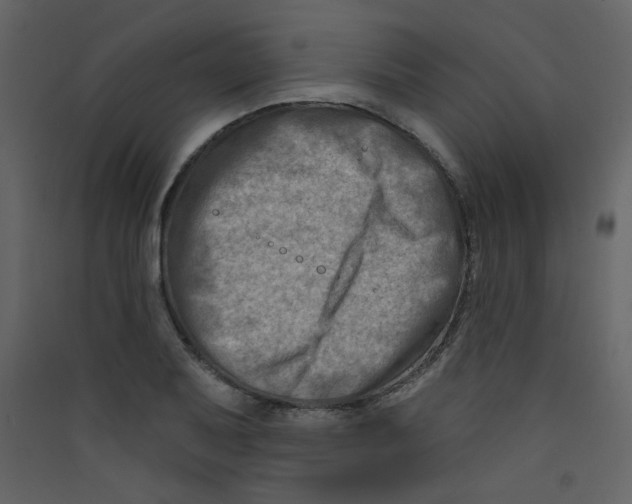 X0000089441079200707131901