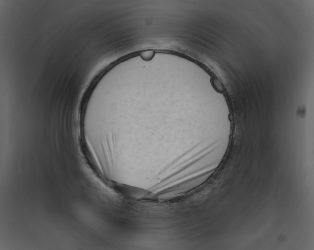 X0000089441080200707131901