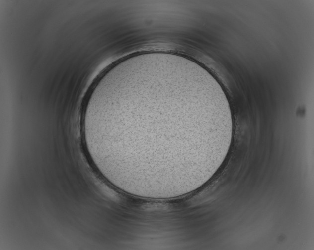X0000089441083200707131901