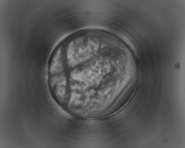 X0000089441084200707131901