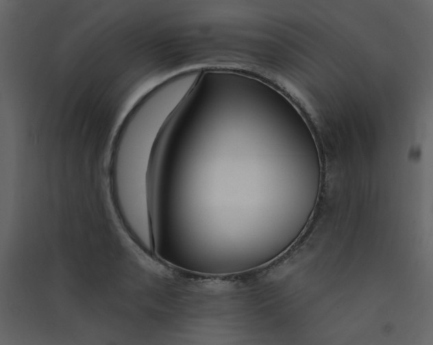 X0000089441085200707131901