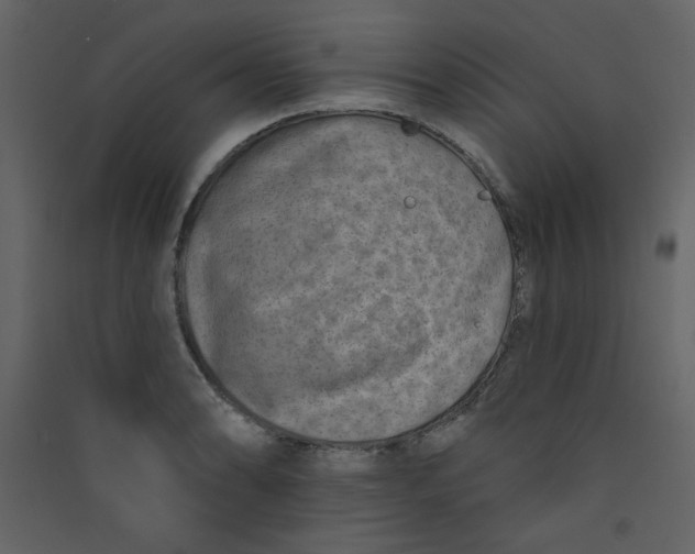 X0000089441086200707131901
