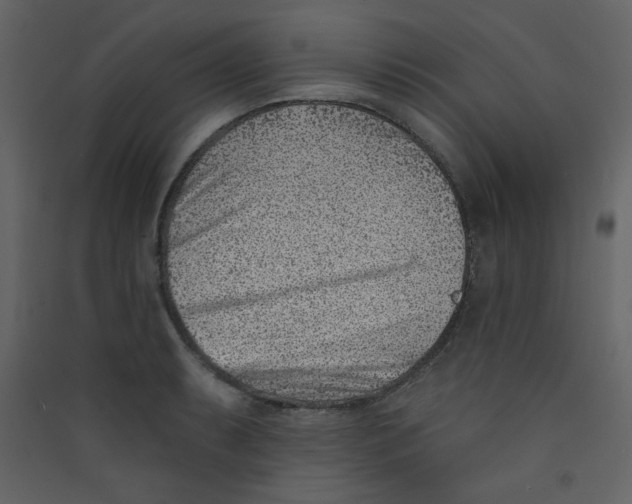 X0000089441087200707131901