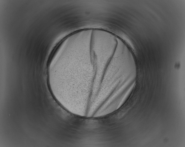 X0000089441088200707131900